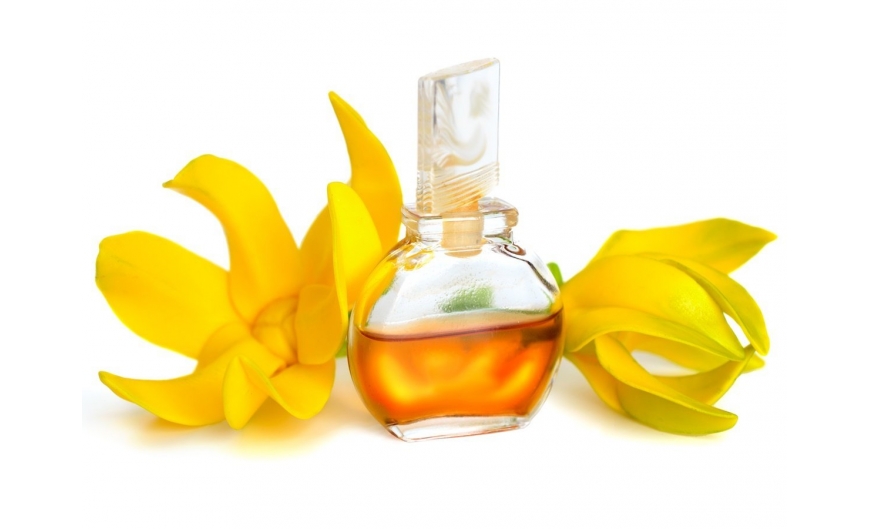 Estimula tus emociones con el aceite esencial Ylang Ylang !